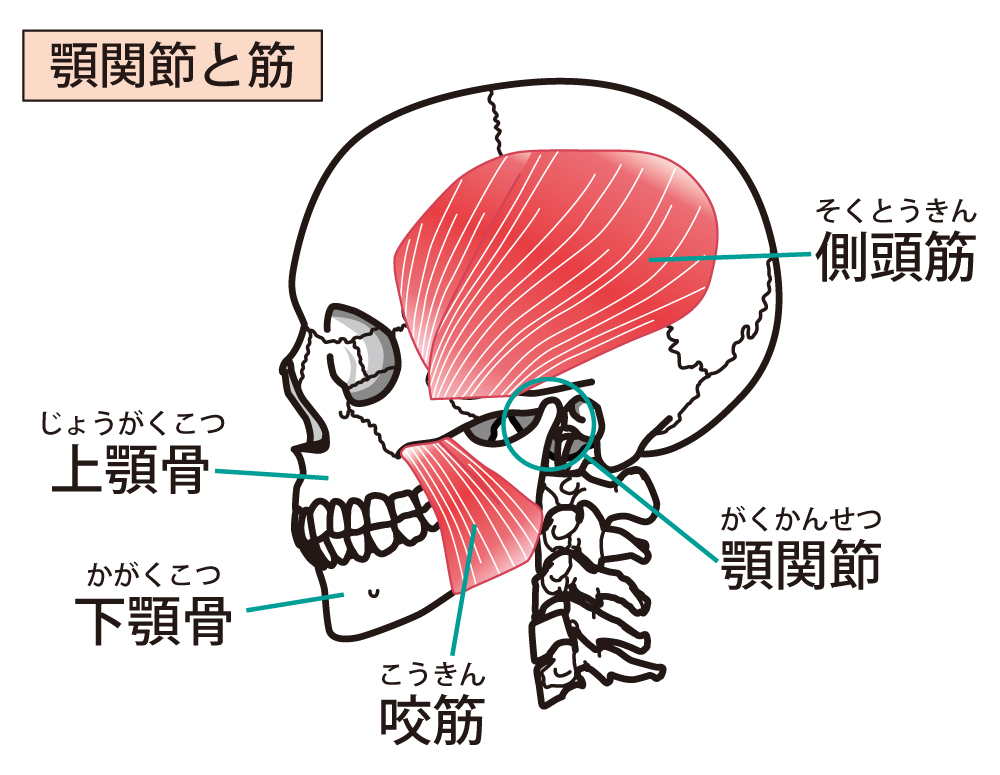 顎関節症とは